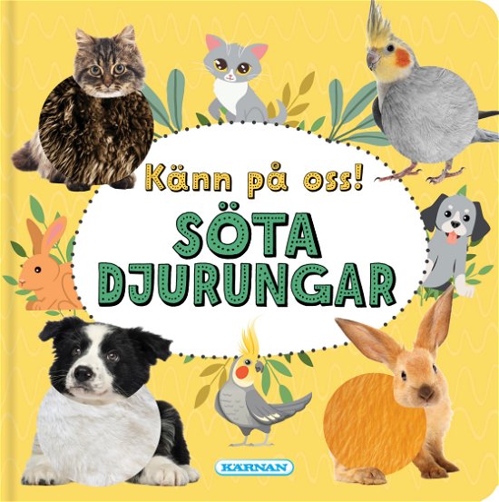 Cover for Känn på oss! Söta djurungar (Map) (2024)