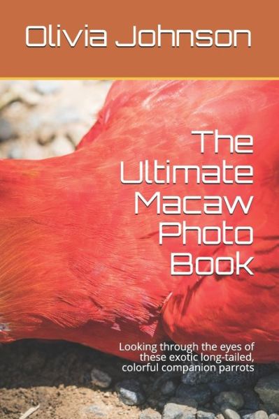 Cover for Olivia Johnson · The Ultimate Macaw Photo Book (Paperback Book) (2020)