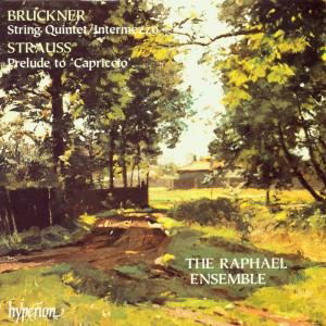 Cover for The Raphael Ensemble · Bruckner String Quintet  Int (CD) (2003)