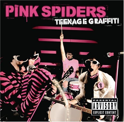 Teenage Graffiti - Pink Spiders - Muziek - ROCK - 0602498540046 - 7 juni 2013