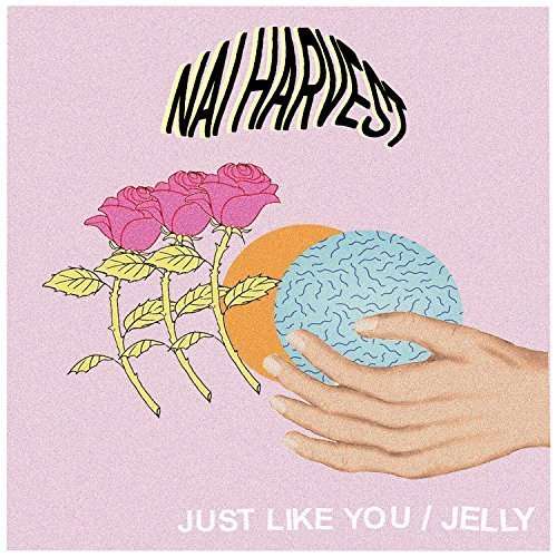 Just Like You (Coloured Vinyl) - Nai Harvest - Music - TOPSHELF RECORDS - 0616892374046 - June 24, 2016
