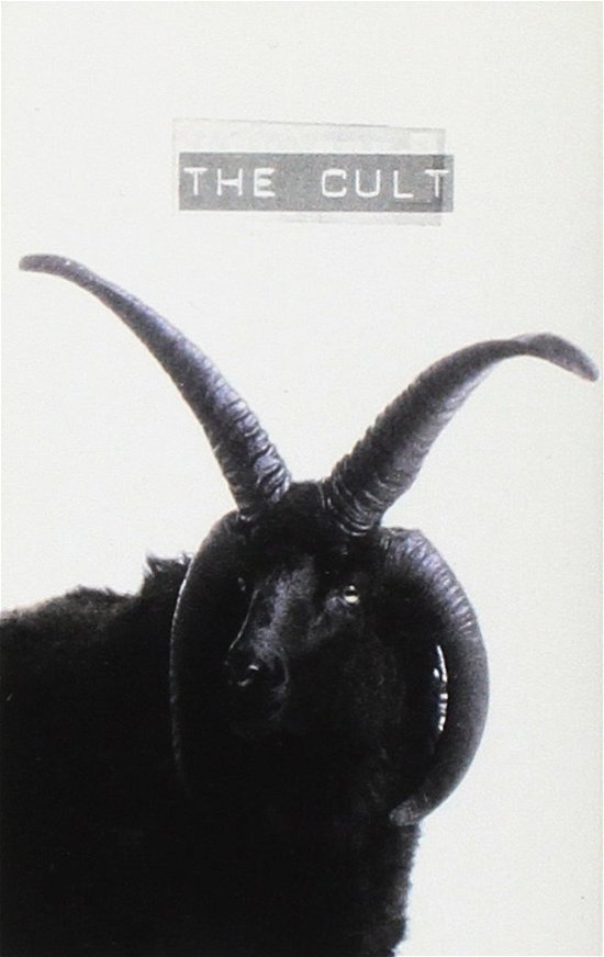 Cult-the Cult - The Cult - Other -  - 0724383997046 - 