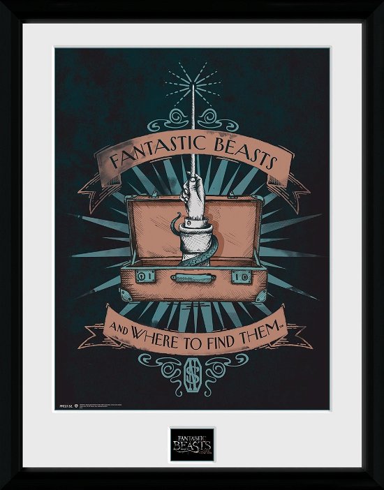 Cover for Fantastic Beasts · Fantastic Beasts: Illustration (Stampa In Cornice 30x40 Cm) (CD)