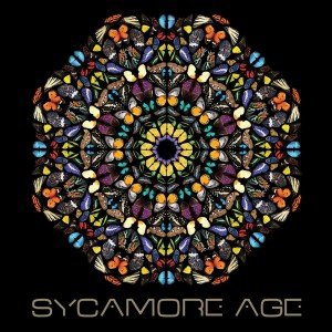 Cover for Sycamore Age (LP) (2013)