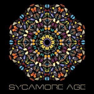 Cover for Sycamore Age (LP) [Limited edition] (2013)