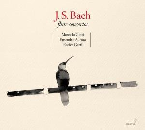 Cover for Bach,j.s. / Gatti / Ensemble Aurora · Flute Concertos (CD) (2008)