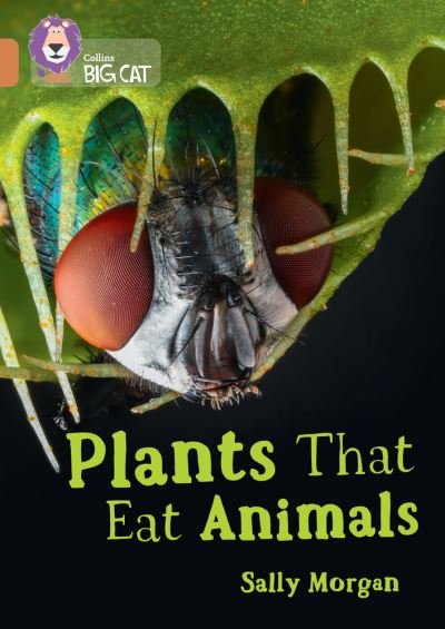 Cover for Sally Morgan · Plants that Eat Animals: Band 12/Copper - Collins Big Cat (Paperback Bog) (2022)