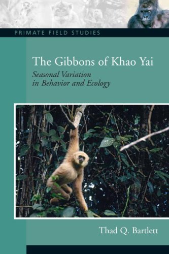 The Gibbons of Khao Yai: Seasonal Variation in Behavior and Ecology - Primate Field Studies - Thad Q. Bartlett - Kirjat - Taylor & Francis Inc - 9780131915046 - torstai 7. elokuuta 2008