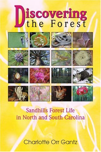 Cover for Charlotte Gantz · Discovering the Forest: Sandhills Forest Life in North and South Carolina (Pocketbok) (2005)