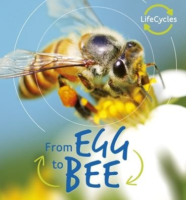 Cover for Camilla de la Bedoyere · From Egg to Bee (Book) (2020)