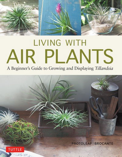 Cover for Yoshiharu Kashima · Living with Air Plants (Hardcover Book) (2019)