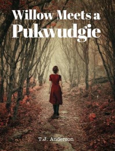 Cover for Tj Anderson · Willow Meets a Pukwudgie (Gebundenes Buch) (2019)