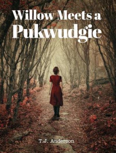 Cover for Tj Anderson · Willow Meets a Pukwudgie (Inbunden Bok) (2019)