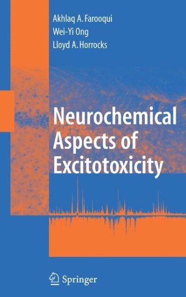 Cover for Akhlaq A. Farooqui · Neurochemical Aspects of Excitotoxicity (Pocketbok) [Softcover reprint of hardcover 1st ed. 2008 edition] (2010)