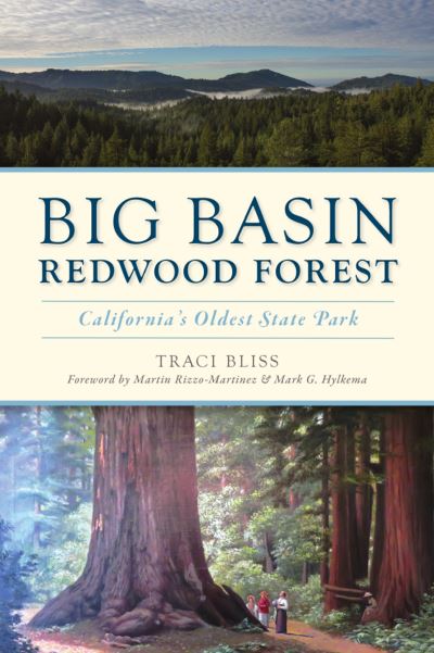 Cover for Traci Bliss · Big Basin Redwood Forest (Paperback Book) (2021)
