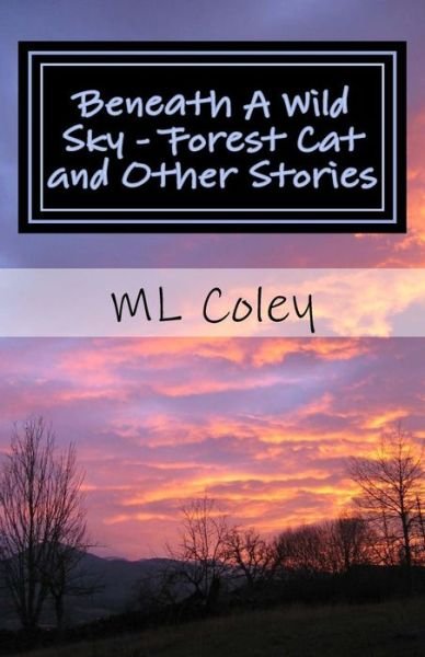 Cover for Ml Coley · Beneath a Wild Sky - Forest Cat and Other Stories (Paperback Bog) (2013)