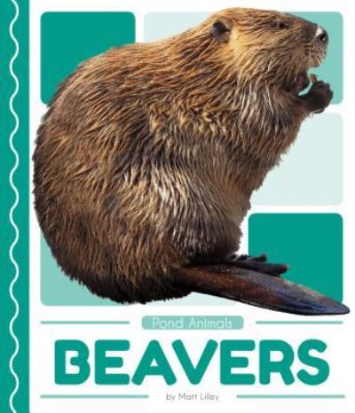 Cover for Matt Lilley · Beavers (Hardcover Book) (2018)