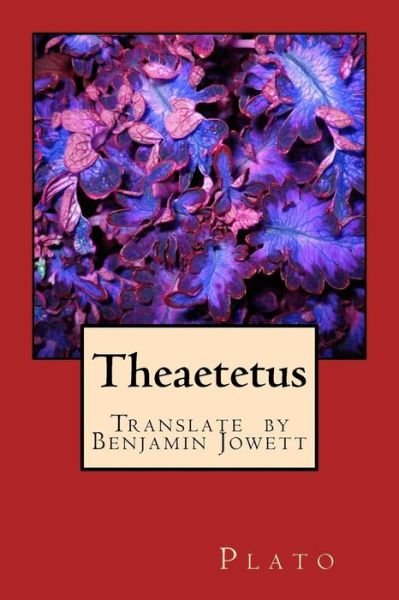 Theaetetus - Plato - Bücher - Createspace Independent Publishing Platf - 9781540376046 - 13. November 2016