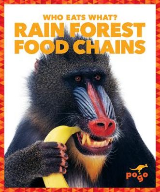 Cover for Rebecca Pettiford · Rain Forest Food Chains - Who Eats What? (Hardcover Book) (2019)