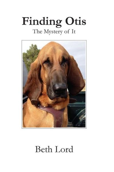 Cover for Beth Bruckner Lord · Finding Otis: the Mystery of It (Paperback Book) (2015)