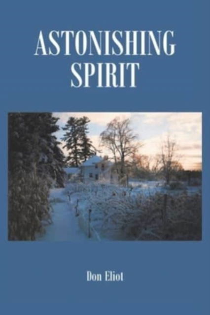 Cover for Don Eliot · Astonishing Spirit (Paperback Book) (2021)