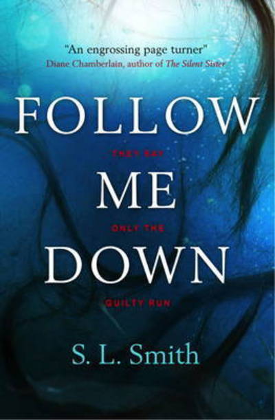 Cover for Sherri Smith · Follow Me Down (Paperback Book) (2017)