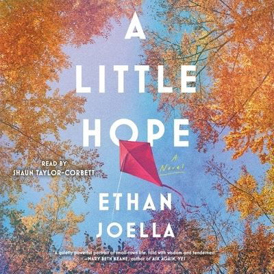 Cover for Ethan Joella · A Little Hope (CD) (2021)