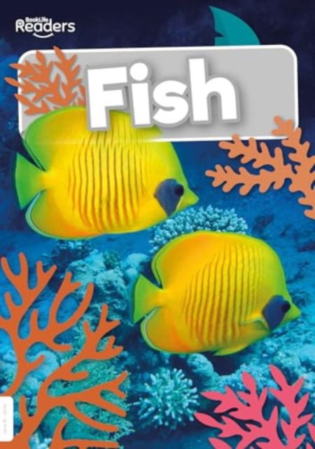 Fish - BookLife Non-Fiction Readers - Steffi Cavell-Clarke - Bøker - BookLife Publishing - 9781805051046 - 1. juni 2024