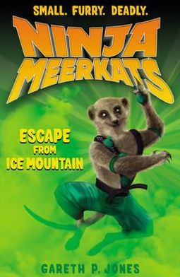 Escape from Ice Mountain - Ninja Meerkats - Gareth P. Jones - Książki - Little Tiger Press Group - 9781847152046 - 2 stycznia 2012