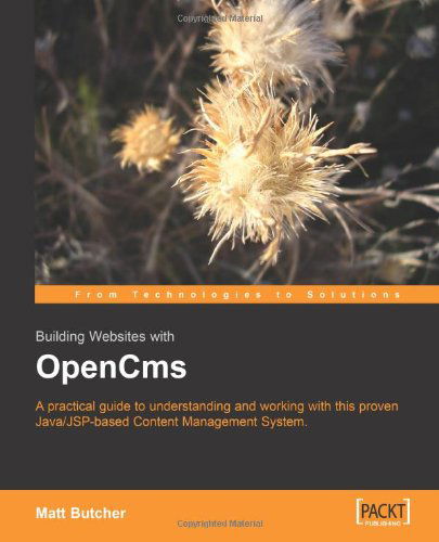 Cover for Matt Butcher · Building Websites with OpenCms (Taschenbuch) (2004)