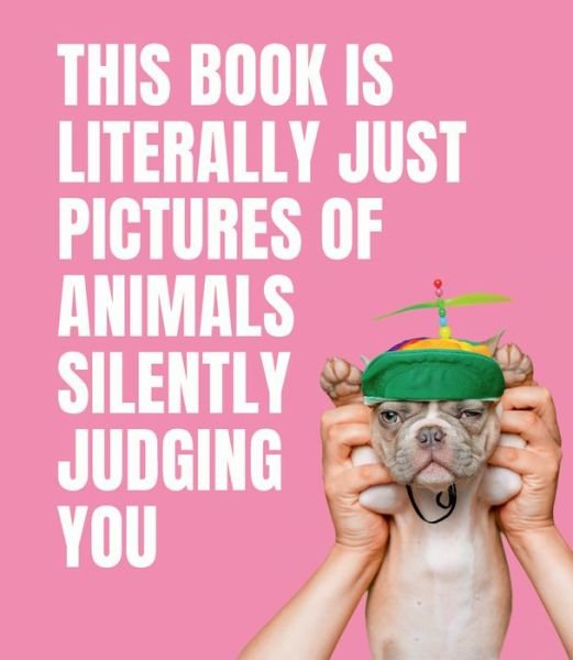 Cover for Smith Street Books · This Book is Literally Just Pictures of Animals Silently Judging You (Gebundenes Buch) (2021)