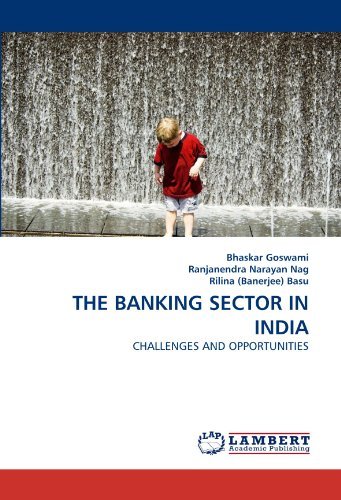 Cover for Rilina (Banerjee) Basu · The Banking Sector in India: Challenges and Opportunities (Taschenbuch) (2011)