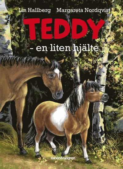 Cover for Lin Hallberg · Teddy: Teddy - en liten hjälte (Hörbuch (MP3)) (2018)