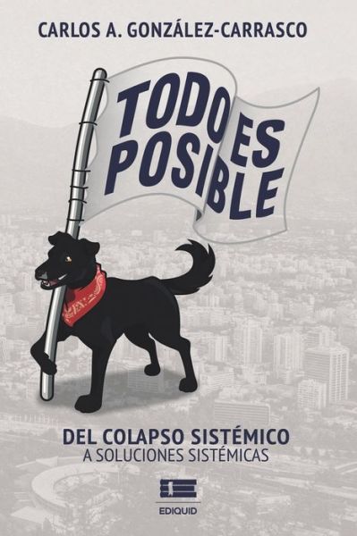 Cover for Carlos Gonzalez-Carrasco · Todo es posible (Paperback Book) (2021)