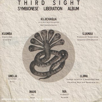Symbionese Liberation Alb - Third Sight - Musiikki - AMALGAM - 0187245000047 - perjantai 9. elokuuta 2019