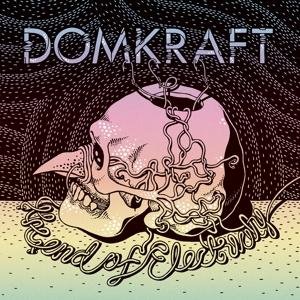 Cover for Domkraft · End Of Electricity (LP) (2016)