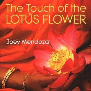 Cover for Joey Mendoza · Xotic Xtacies (CD) (1996)