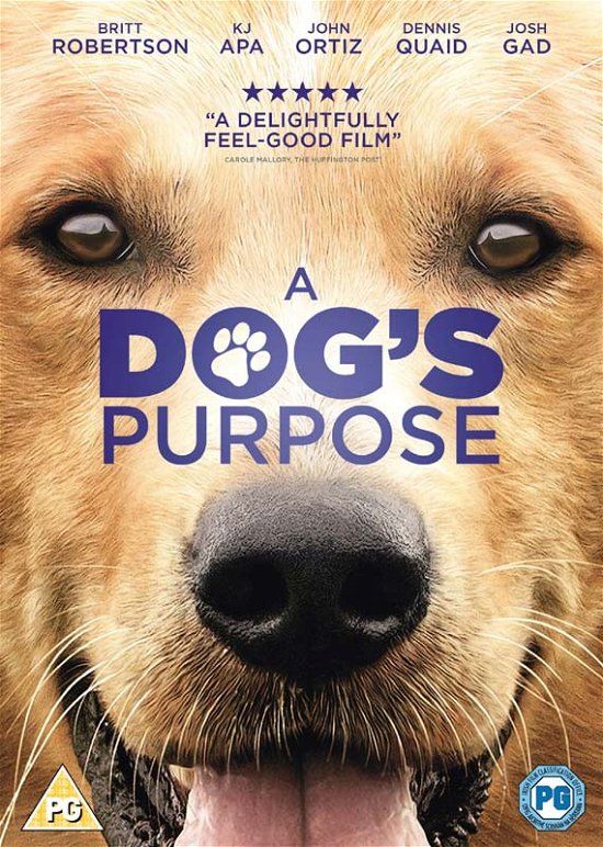Cover for Fox · A Dogs Purpose (DVD) (2017)