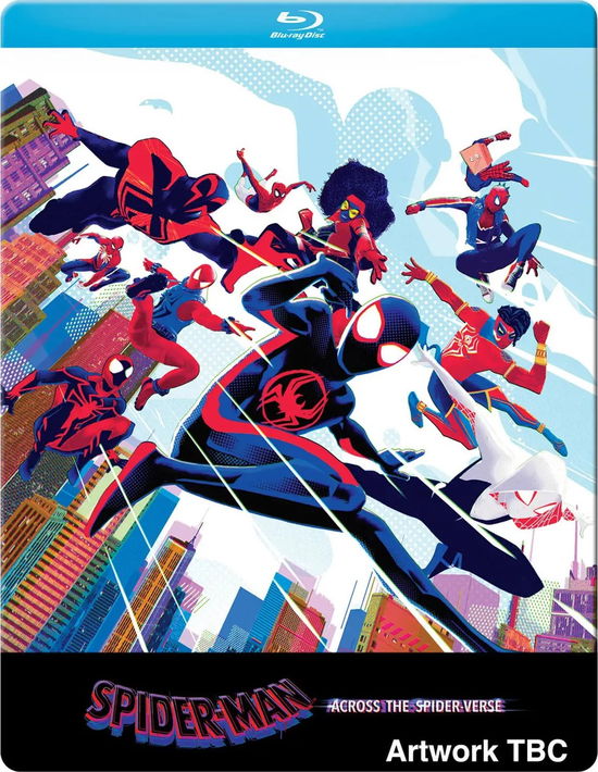 Spider-Man: Across The Spider-Verse (Steelbook) - Joaquim Dos Santos - Filmes - SONY PICTURES HOME ENTERTAINMENT - 5050629604047 - 11 de setembro de 2023