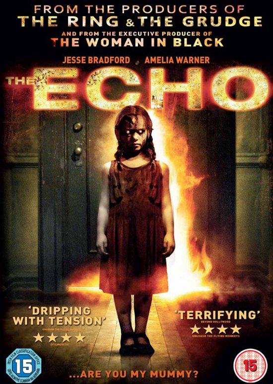 Cover for The Echo (DVD) (2013)