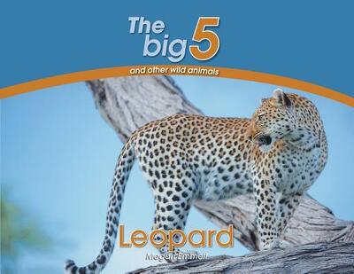 Cover for Megan Emmett · Leopard: The Big 5 and other wild animals - Big 5 and Other Wild Animals (Paperback Book) (2018)