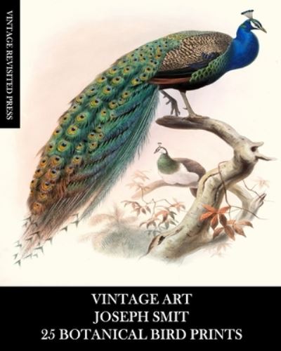 Vintage Art - Vintage Revisited Press - Kirjat - Blurb - 9781006318047 - maanantai 2. syyskuuta 2024