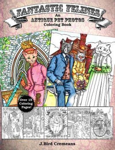 Cover for J Bird Cremeans · Fantastic Felines (Pocketbok) (2019)