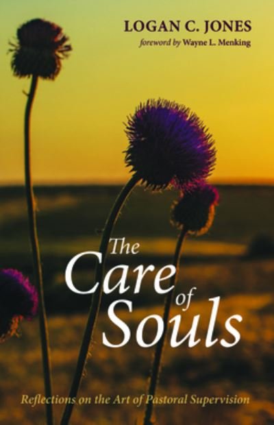 Cover for Logan C Jones · The Care of Souls (Paperback Book) (2019)