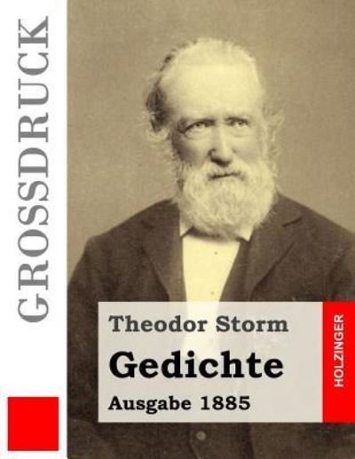 Cover for Theodor Storm · Gedichte (Grossdruck) (Paperback Book) (2016)