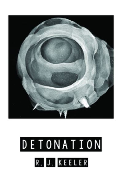 Detonation - R J Keeler - Livros - Resource Publications (CA) - 9781725257047 - 15 de janeiro de 2020
