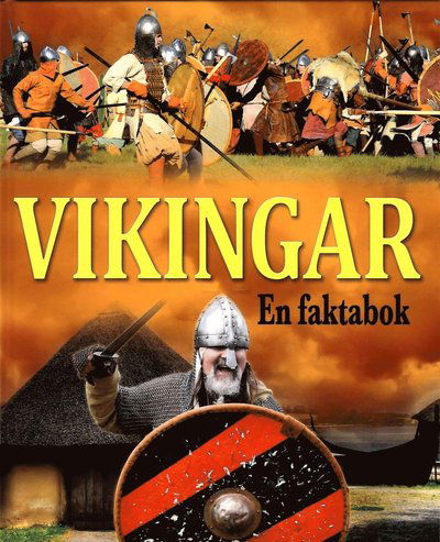 Vikingar : en faktabok - Philip Steele - Kirjat - Arctic - 9781785996047 - maanantai 19. syyskuuta 2016