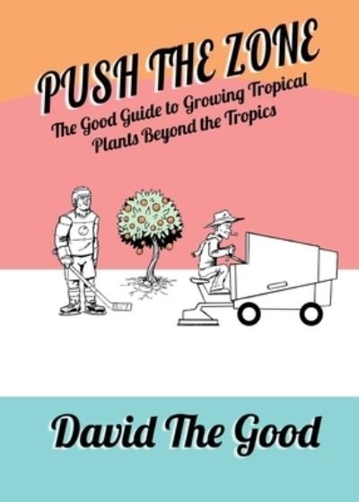 Cover for David The Good · Push the Zone (Paperback Book) (2021)