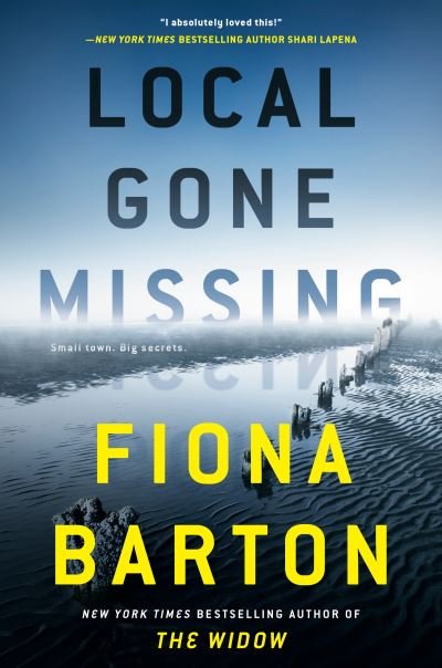 Cover for Fiona Barton · Local Gone Missing (Innbunden bok) (2022)