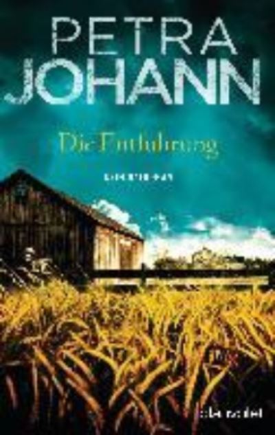 Cover for Petra Johann · Die Entfuhrung (Paperback Book) (2019)